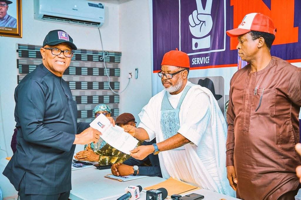 NDC clears Peter Obi as sole presidential candidate