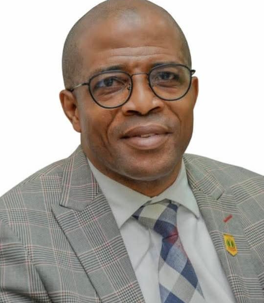 Ogun appoints new Head of Service