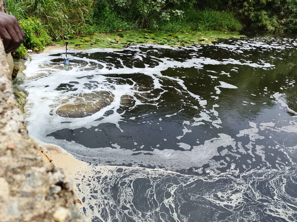 Ogun agency seals factory over wastewater pollution in Ewekoro