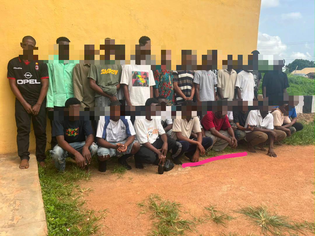 Ogun police arrests 30 suspected cultists during initiation, recovers four cars, exhibits