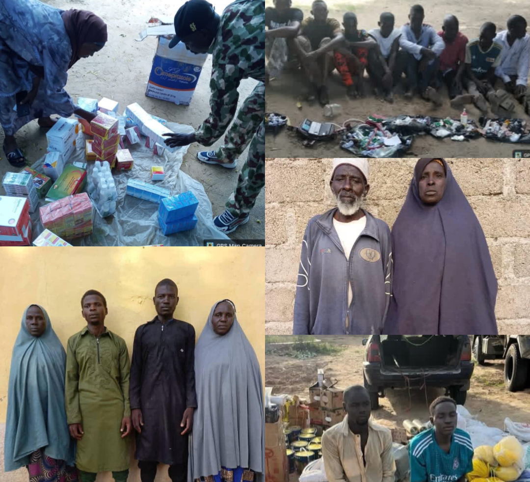 Troops Rescue Abductees, Repel ISWAP Attack, Arrest Terror Suspects in North-East