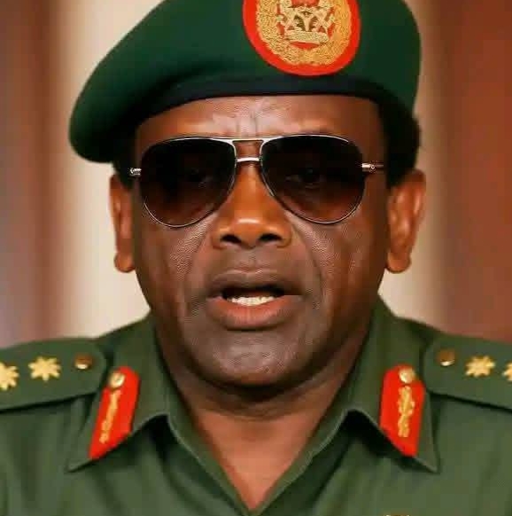 Abacha Died of Cardiac Arrest During Intercourse With a Female pharmacist - Ex-DSS operative reveals