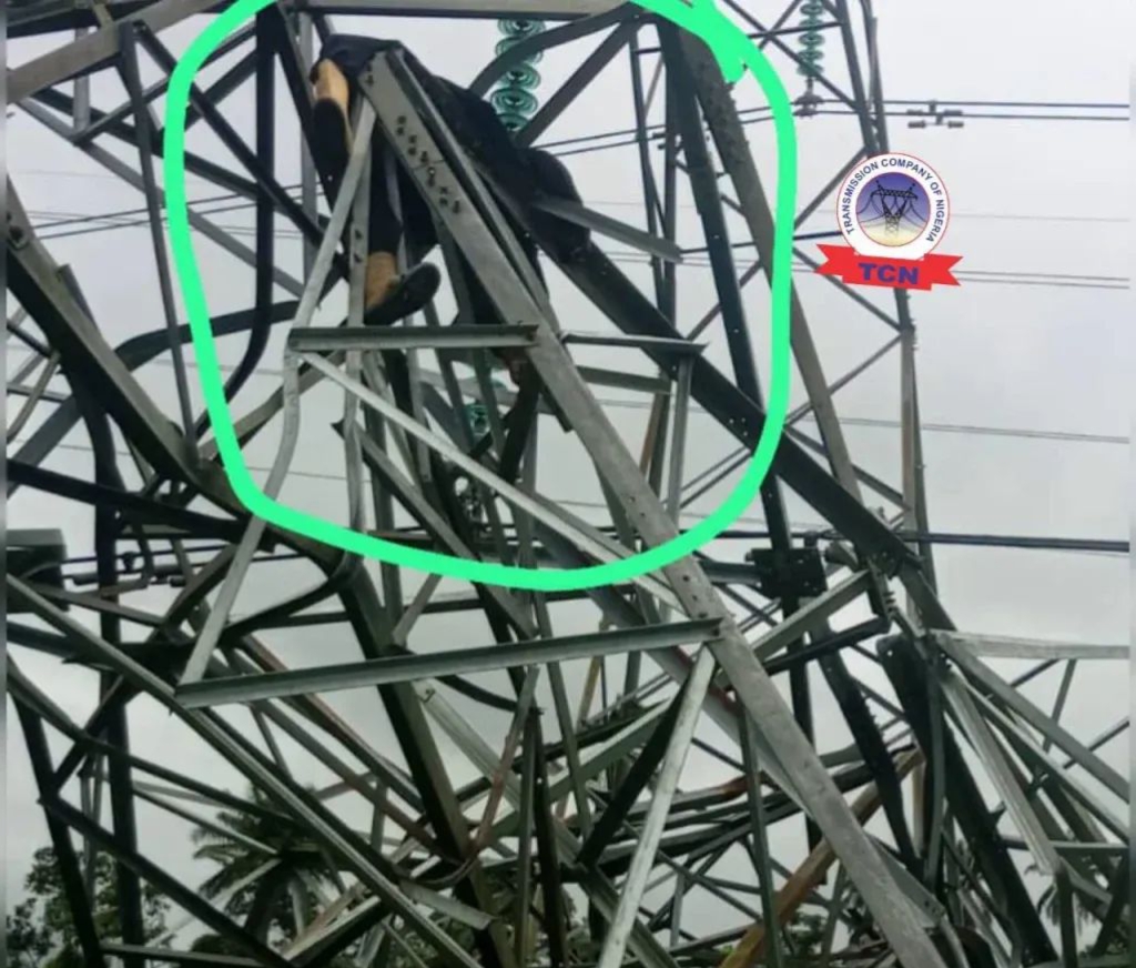 Suspected Vandal Crushed to Death as 330kV Transmission Tower Collapses in Delta