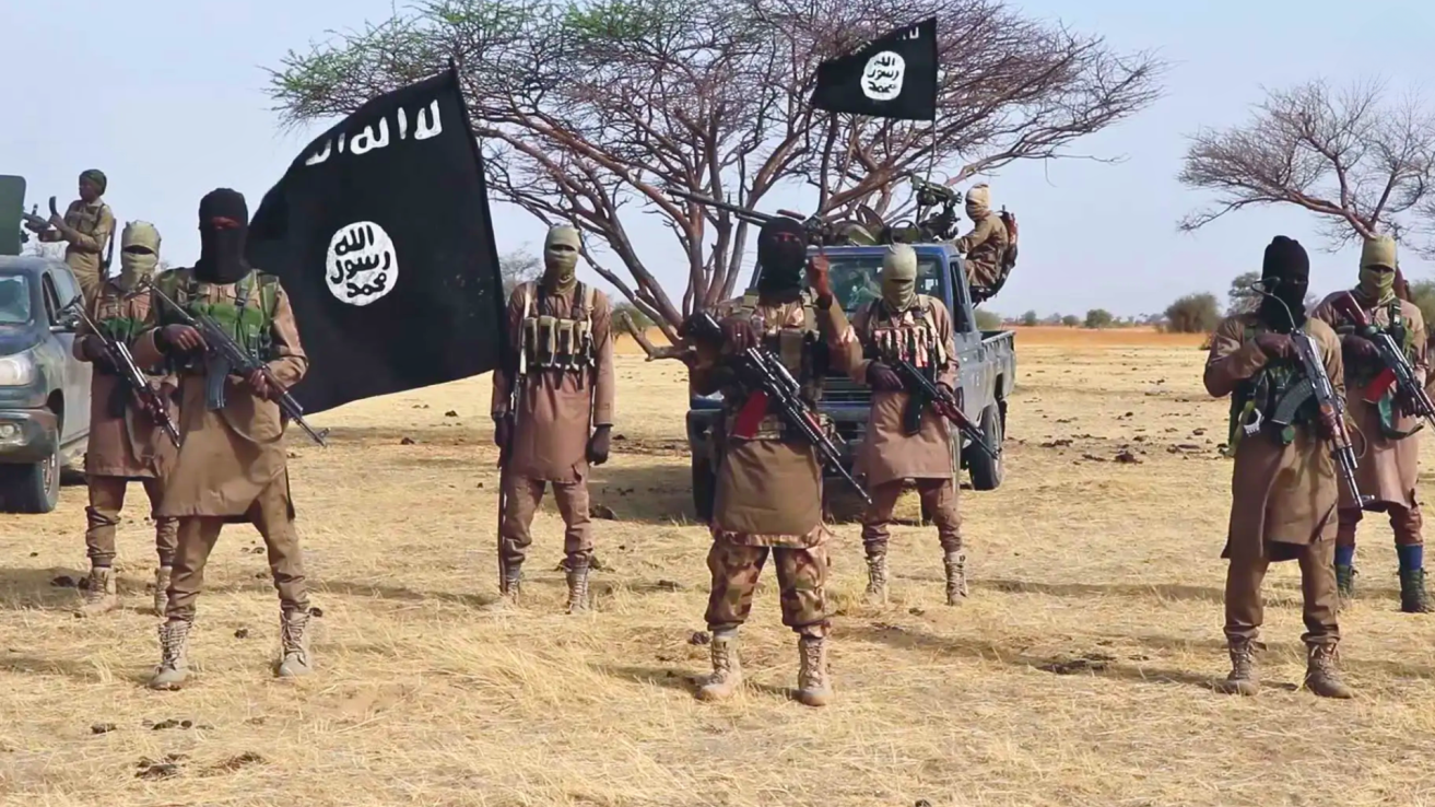 17 ISWAP suspects surrender in Borno as Rep commends military
