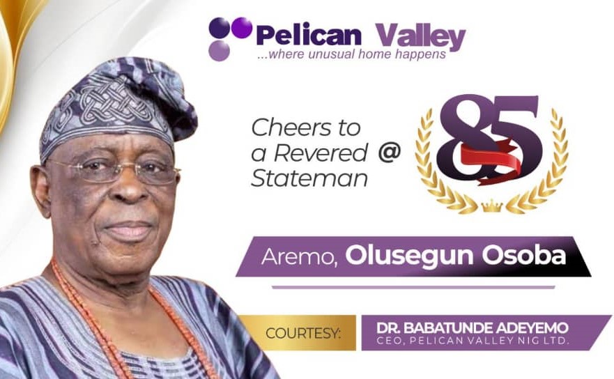 Pelican Valley, a beneficiary of Osoba’s rural project – Dr Babatunde celebrates ex-governor At 85