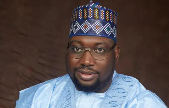 Bandits fed newborn twins to dogs, says Zamfara lawmaker