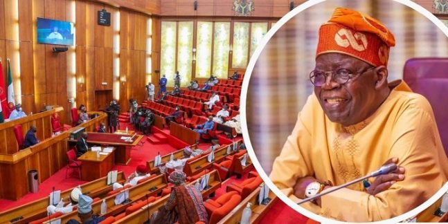 Senate approves Tinubu’s ₦1.15tr domestic loan to fund 2025 budget deficit