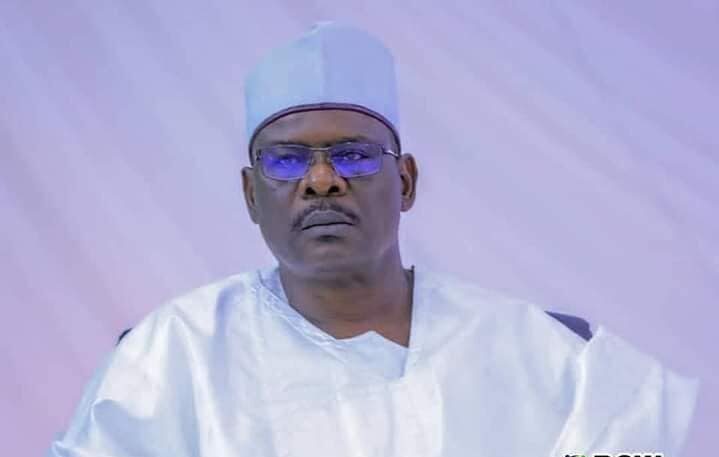 Fire more ministers missing in action - Ndume tells Tinubu