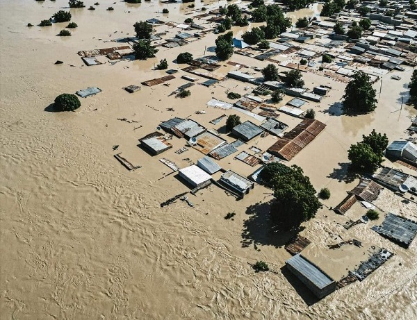 Borno flood: SEMA officials trapped as deadly animals flood communities