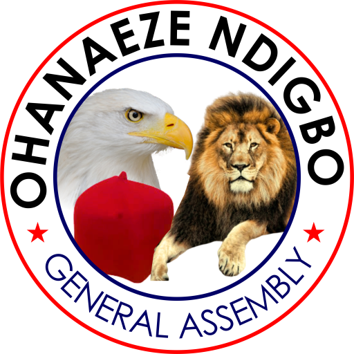 2023: Nominate a Northerner, live with the consequence – Ohanaeze dares PDP