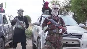 Just In: ISWAP abducts 13 female teenagers in Borno