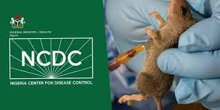 Nigeria records rise in Lassa fever cases as deaths hit 162 by August – NCDC