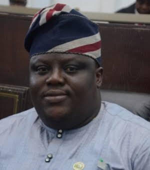 Ogun lawmaker mourns elephant attack victim, calls for urgent govt action