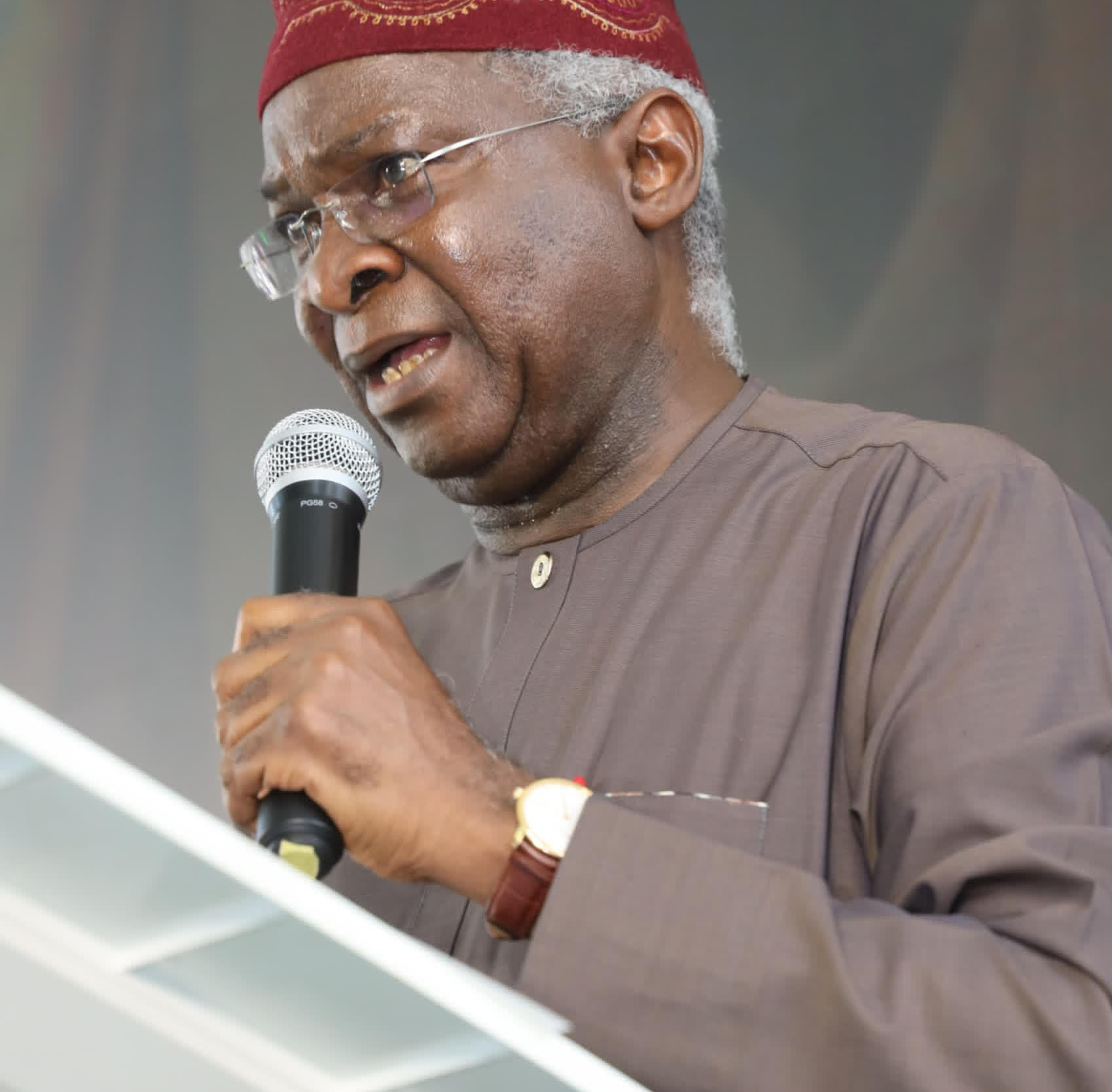Fashola urges Government to harness sports for National Development